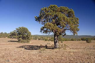 Sycamore Point, Arizona, October 29, 2011